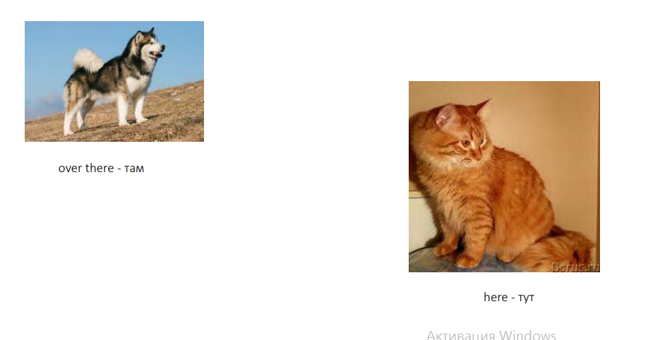 Практические задания Практические задания